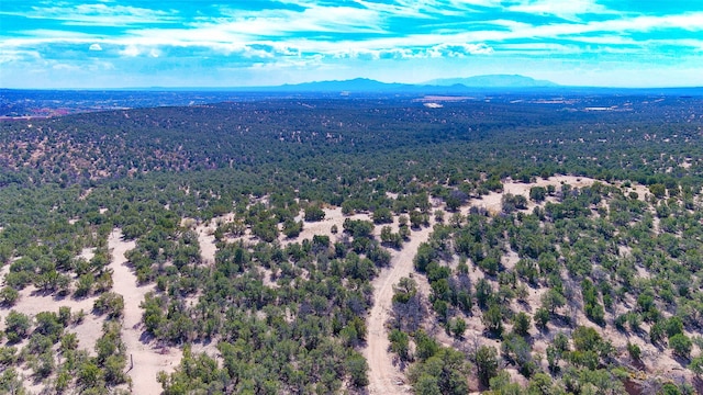 drone / aerial view featuring a mountain view