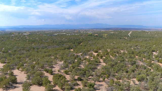 view of mountain feature