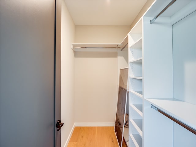 walk in closet with light wood-type flooring