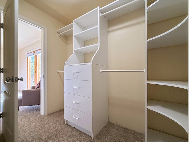 spacious closet with light colored carpet