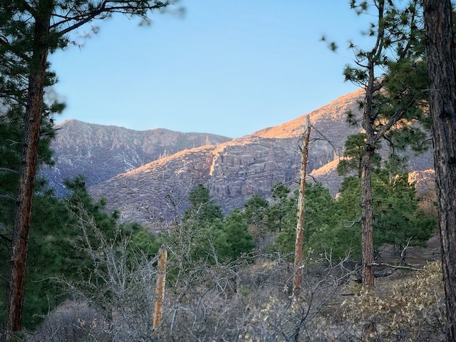 view of mountain feature