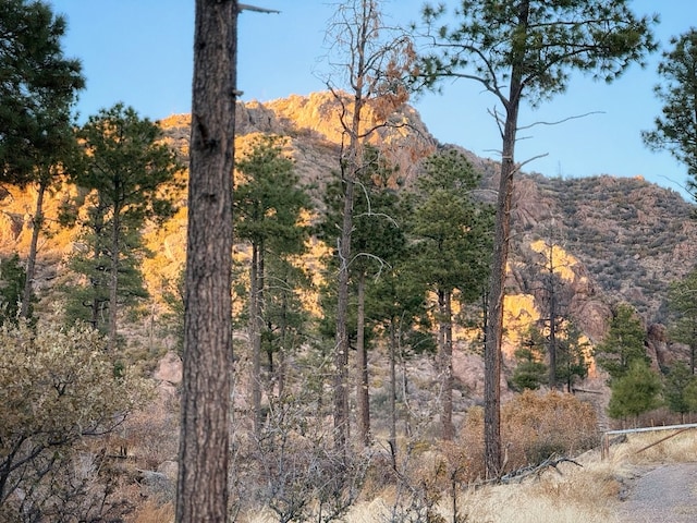 property view of mountains