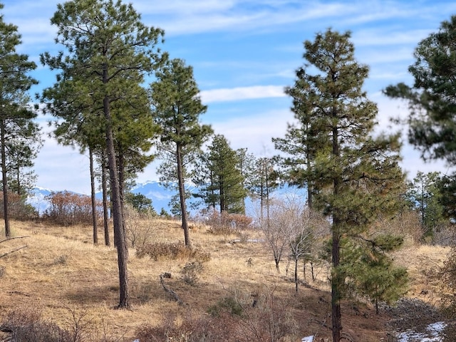 view of landscape with a rural view