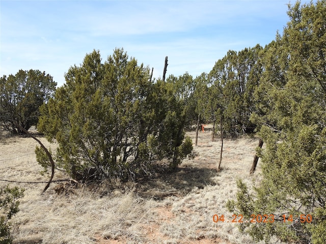 Listing photo 3 for 0 Apache Mesa Rd, NM 87701