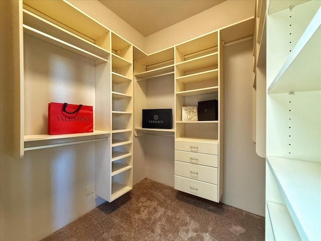 spacious closet featuring dark colored carpet