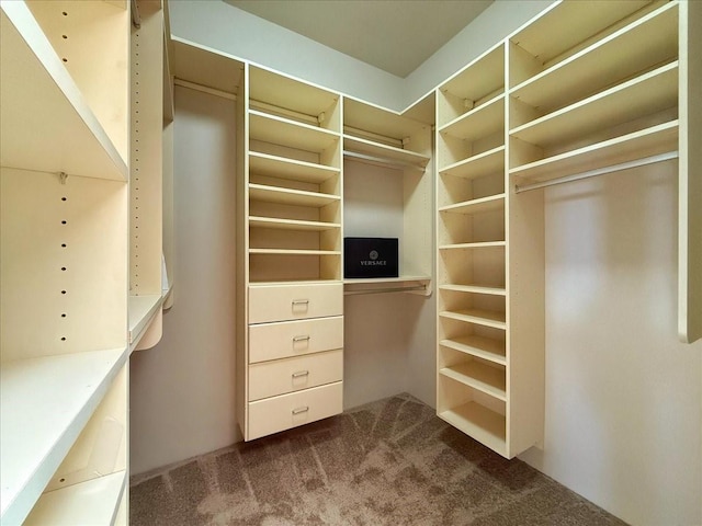 spacious closet featuring carpet flooring