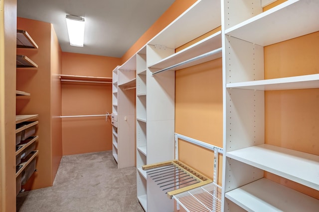 spacious closet featuring light colored carpet