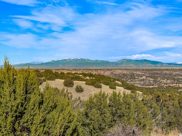 view of mountain feature