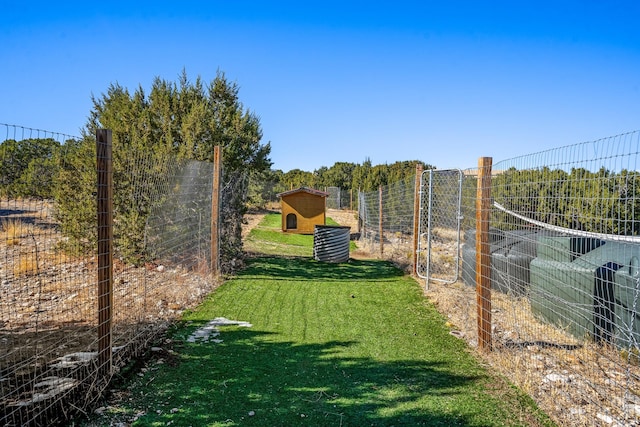 view of yard featuring a storage unit