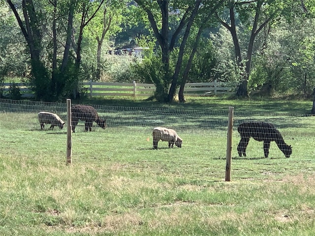 surrounding community with a rural view and a yard