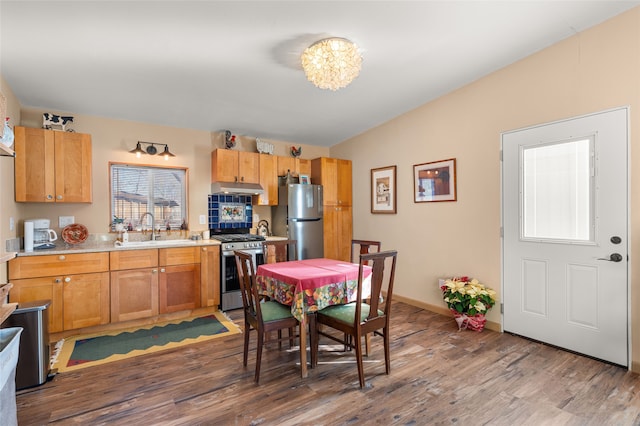 kitchen with sink, hardwood / wood-style floors, and stainless steel appliances