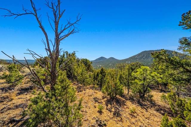 property view of mountains