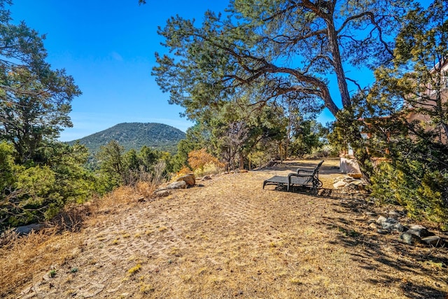 view of yard with a mountain view