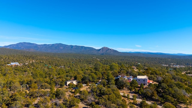 drone / aerial view with a mountain view