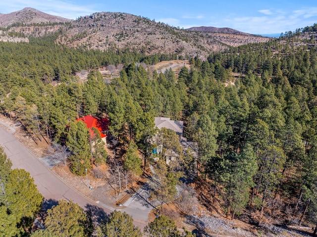 drone / aerial view with a mountain view