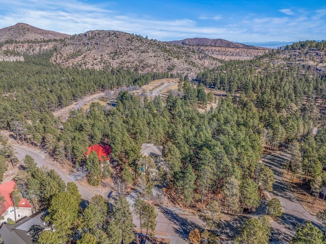 birds eye view of property with a mountain view