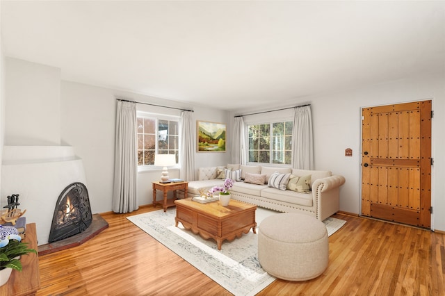 living room featuring light hardwood / wood-style floors and a wood stove