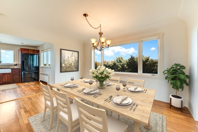 dining room with a notable chandelier, light hardwood / wood-style floors, and radiator