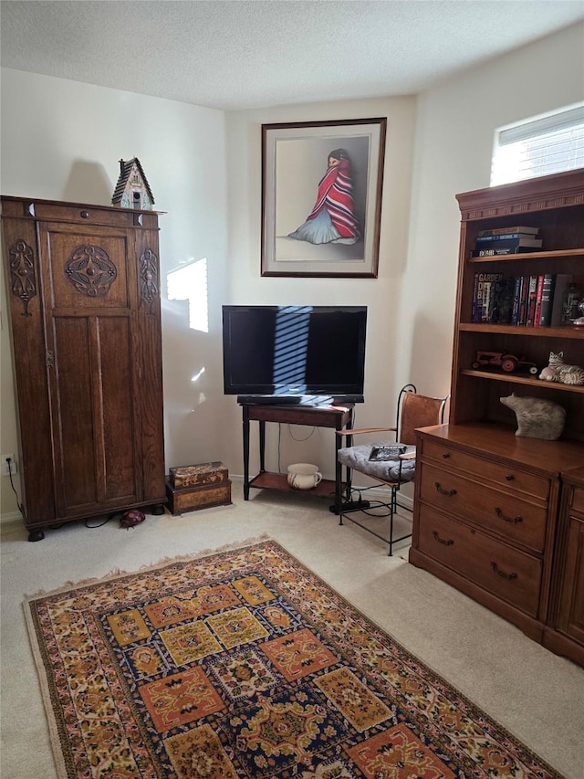 interior space featuring light colored carpet and a textured ceiling