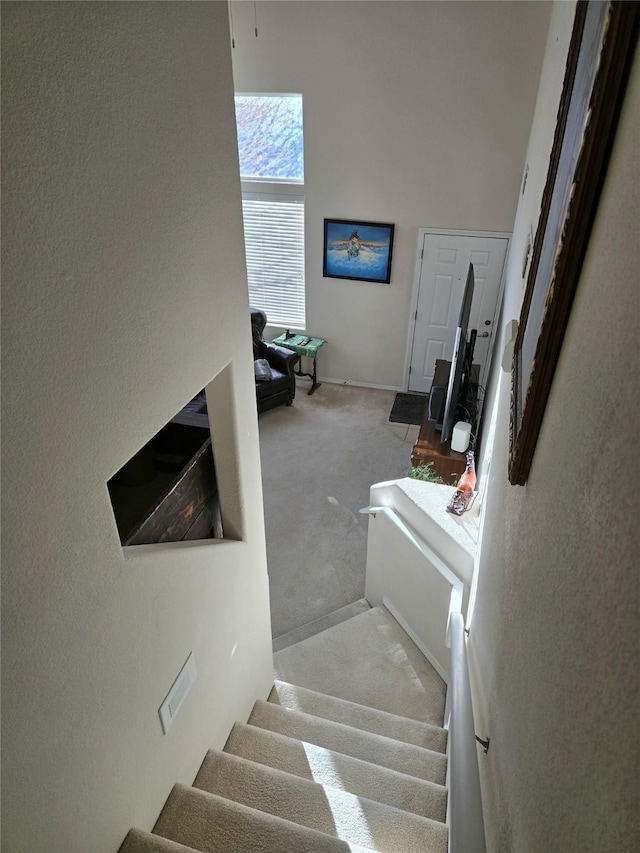 stairs with carpet flooring