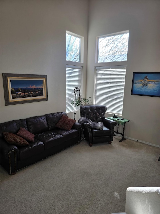 carpeted living room with a high ceiling