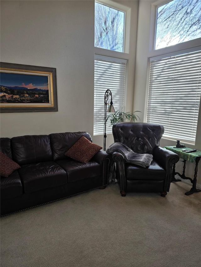 carpeted living room with a high ceiling