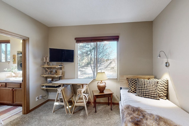 carpeted office space with a wealth of natural light