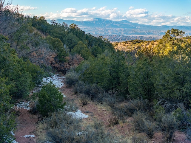 property view of mountains