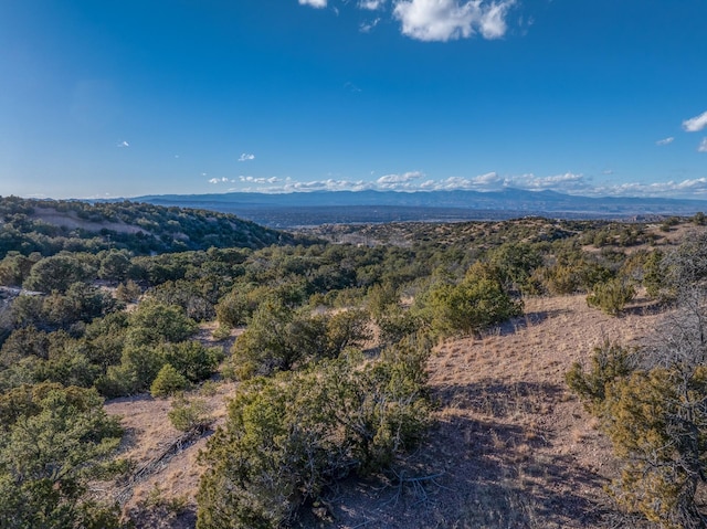 property view of mountains