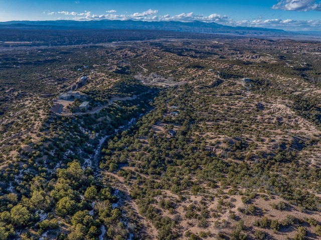 birds eye view of property featuring a mountain view