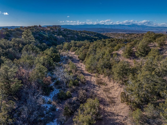 drone / aerial view with a mountain view