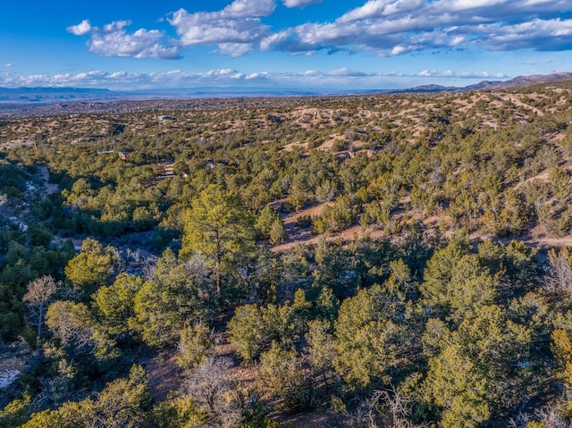 drone / aerial view featuring a mountain view