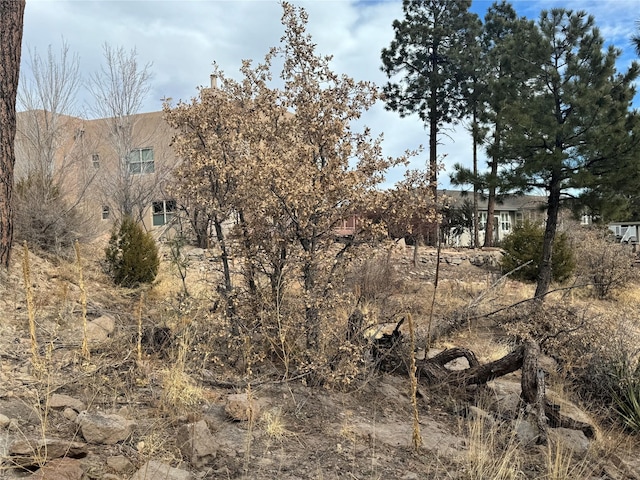 Listing photo 2 for 1620 Sonrisa, Los Alamos NM 87544