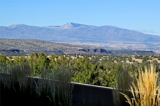 view of mountain feature