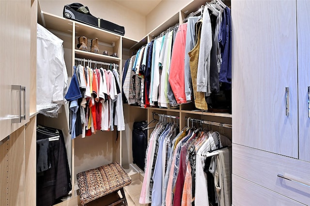 view of walk in closet