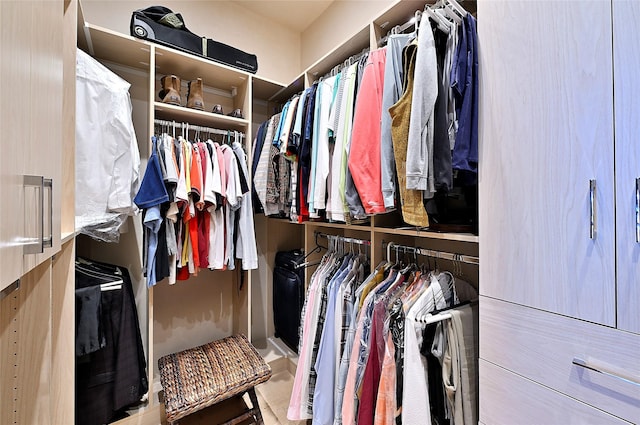 view of spacious closet