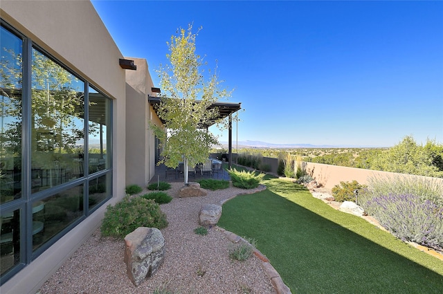 view of yard featuring a patio