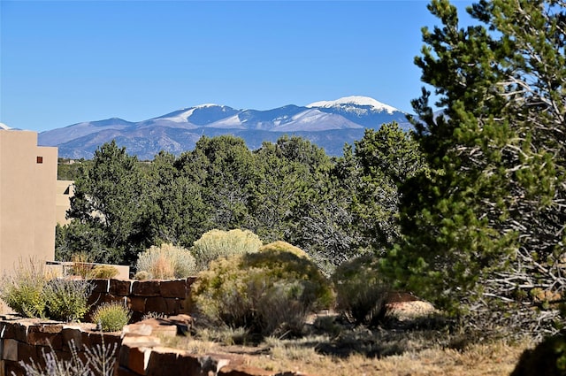 view of mountain feature