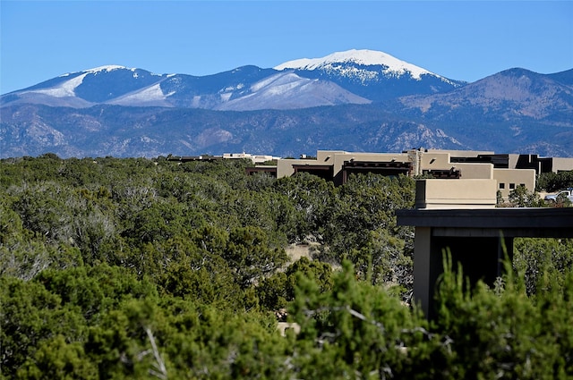 view of mountain feature