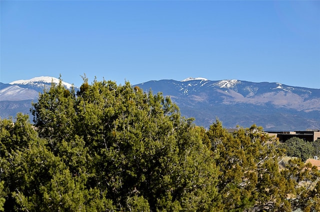 view of mountain feature