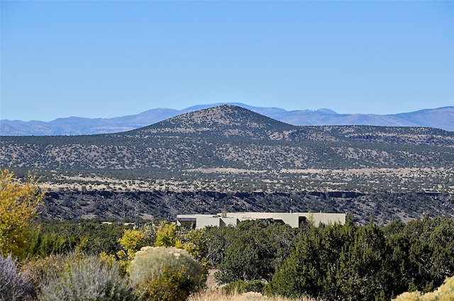 view of mountain feature