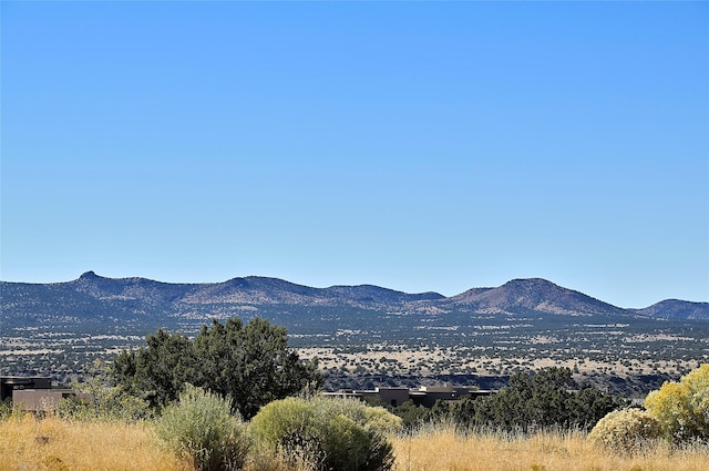 view of mountain feature