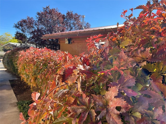 view of property exterior