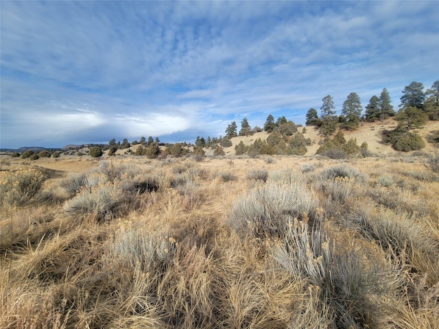 Listing photo 3 for N3 Willow Way, Chama NM 87520