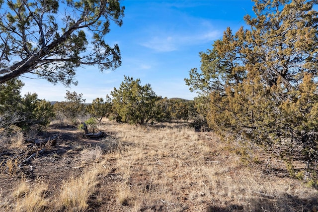 16 Apache Creek Rd, Santa Fe NM 87505 LAND for sale