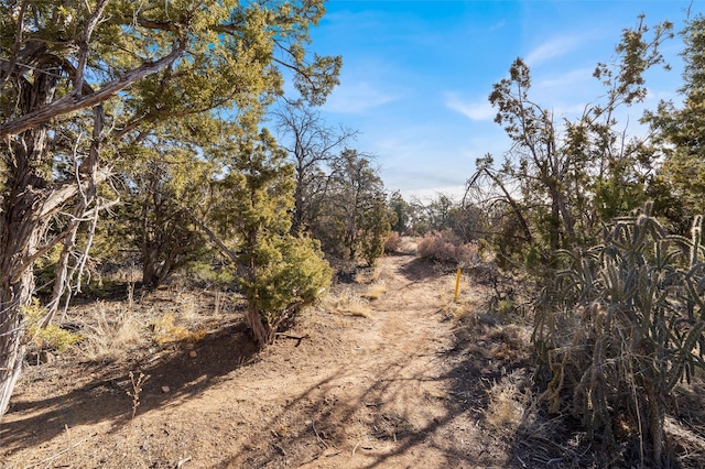 Listing photo 3 for 16 Apache Creek Rd, Santa Fe NM 87505