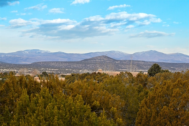 view of mountain feature