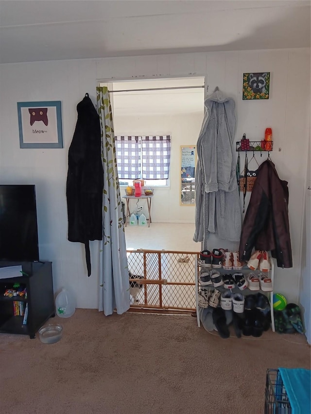 mudroom featuring carpet floors