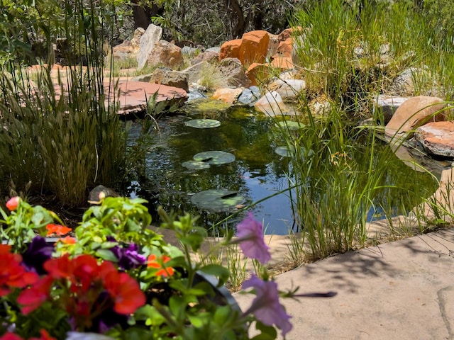 exterior space featuring a garden pond