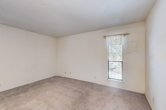 unfurnished room with carpet flooring and a wealth of natural light